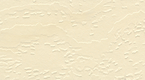 F8.12.79